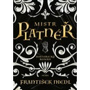 Mistr platnéř