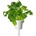 Click & Grow Семена Click and Grow Горчица Уасаби, 3 броя (SGR83X3)