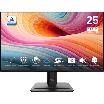 MSI Pro MP252 E2