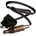 DELPHI Lambda sonda ES1056812B1