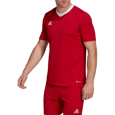 adidas Entrada 22 T shirt M H61736 92289 green