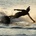 Jetsurfing