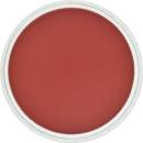 Panpastel 9 ml 340.3 permanent red shade