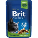 Brit Premium Sterilised 100 g