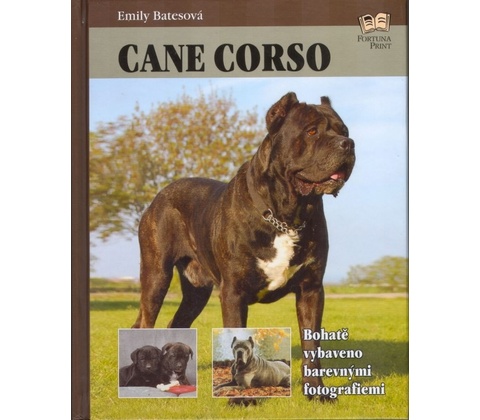 Cane Corso