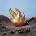 Audioslave - Audioslave (2 LP) (0889854553319)