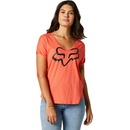 Fox Boundary Flamingo