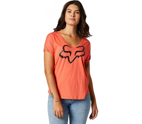 Fox Boundary Flamingo