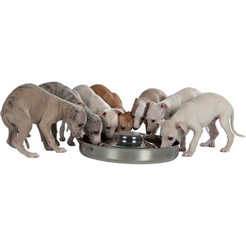 Trixie nerezová miska pre šteňatá 1,4 l