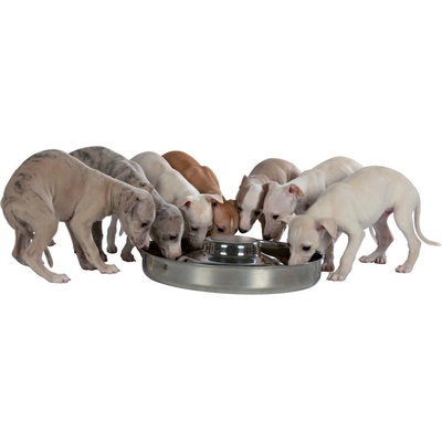 Trixie nerezová miska pre šteňatá 1,4 l