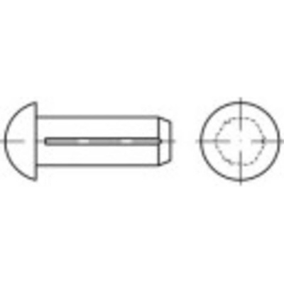 TOOLCRAFT 1066873 půlkulatý rýhovaný hřeb (Ø x d) 2.5 mm x 6 mm nerezová ocel A2 100 ks