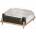 Intel BXSTS100P