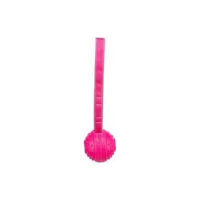 Trixie loptička s remienkom 29 cm