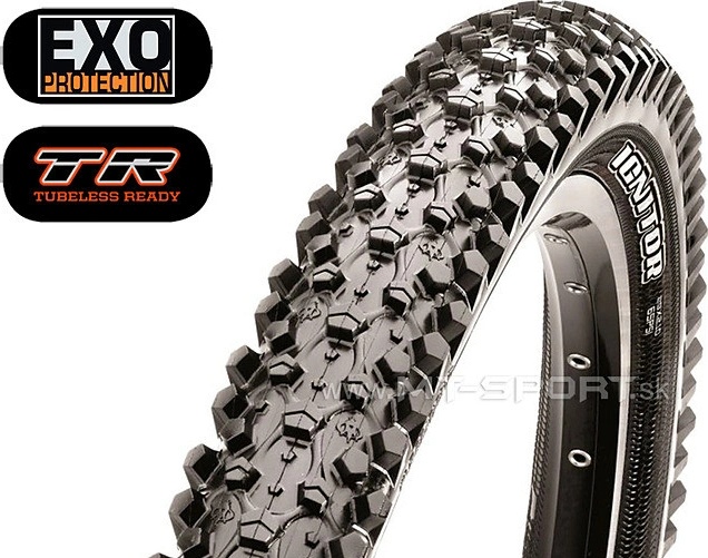 Maxxis ignitor 29x2 10 online