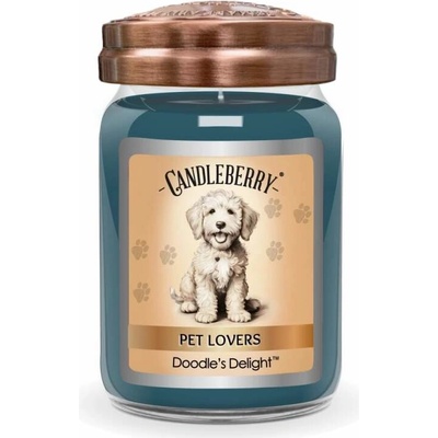 Candleberry Doodles Delight 624 g