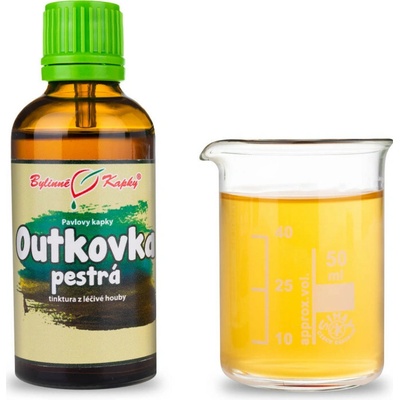 Trúdnikovec pestrý kvapky tinktúra 50 ml