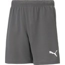 Puma teamRise short jr 704943