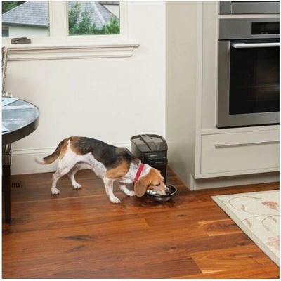 Dávkovač krmiva Healthy Pet Simply Feed™ PetSafe, digitální, černý