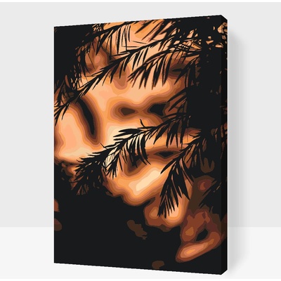 Vymalujsisam.cz Malování podle čísel Silueta západu slunce Velikost 40 x 60 cm Rámování Na kartonové desce