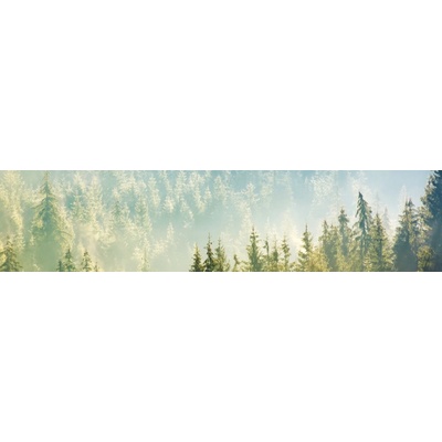 Dimex KI260-141 Fototapeta do kuchyně Woods rozměry 260 x 60 cm
