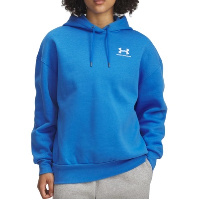 Under Armour UA Icon Fleece OS Hoodie 1379495-403