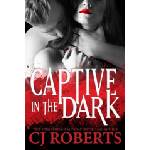 Createspace Independent Publishing Platform Captive in the Dark | Cj Roberts