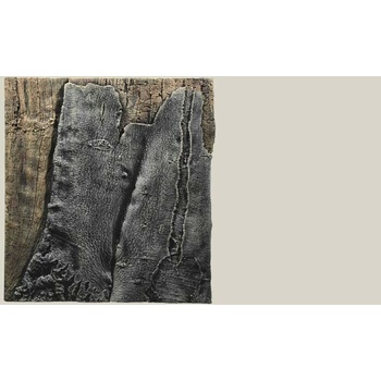 Back to Nature pozadie Slimline Amazonas 60B 50 x 55 cm