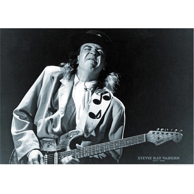 Plagát, Obraz - Stevie Ray Vaughan - 1954-1990, 84.1 × 59.4 cm