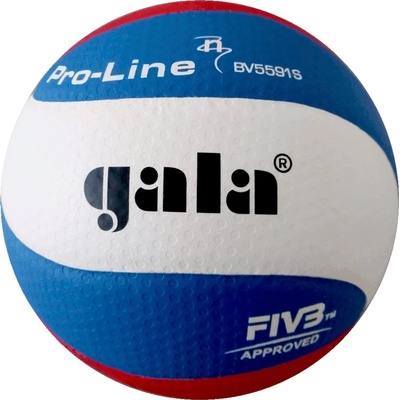 Gala Волейболна топка GALA Pro Line - BV 5595 S