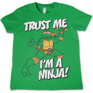 HYBRIS детска тениска Костенурките Нинджа - I´m A Ninja - HYBRIS - NIC-12-TMNT004-H60-3-GR