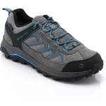 Alpine Pro Semte