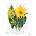 Принт Balsamroot, Мери Во Уолкът - репродукция (Print1033)