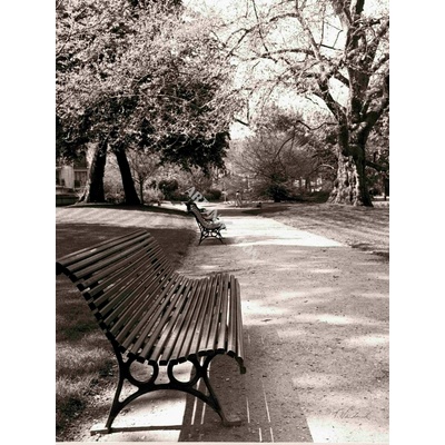 Park 1 deska 50x70