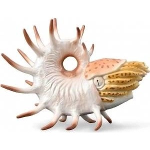 CollectA Cooperoceras Figure