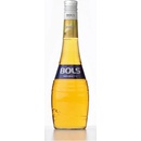 Likéry Bols Banana 17% 0,7 l (holá láhev)