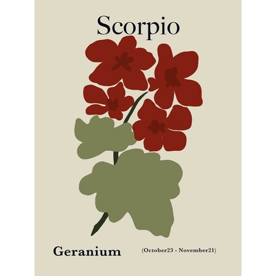 Plagát, Obraz - Scorpio Geranium Bloom, Miho Art Studio, 30 × 40 cm