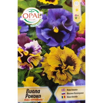 Opal Zi Виола Рококо Viola x wittroskiana