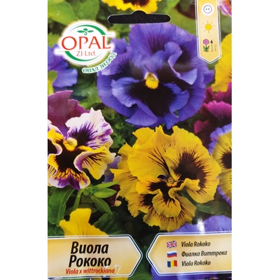 Opal Zi Виола Рококо Viola x wittroskiana