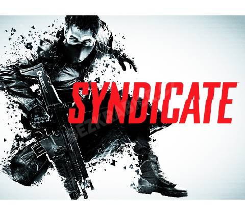 Syndicate