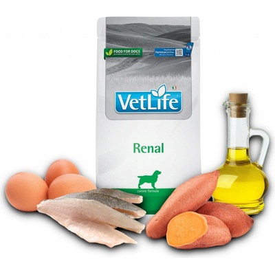 Vet Life Dog Renal 2 kg