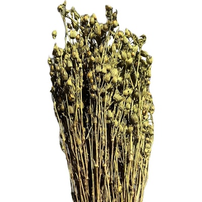 Silene olivově zelená 100 g