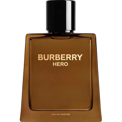 Burberry Hero parfémovaná voda Parfémovaná voda pánská 100 ml