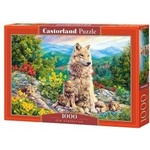 Castorland 1000 - piece puzzle New Generation