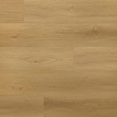 Arbiton Amaron Wood Dryback DA 223 Dub Menor 4,298 m²