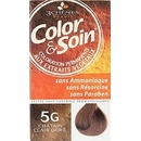 Barvy na vlasy Color & Soin barva na vlasy 5G světle zlatá hnědá 135 ml