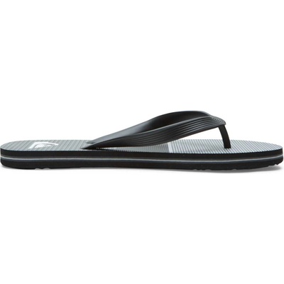 Quiksilver Molokai tijuana 40