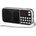 Daisy Multimedia Diva l-088 - портативно fm радио с mp3 плеър, led фенерче, usb/sd - черно