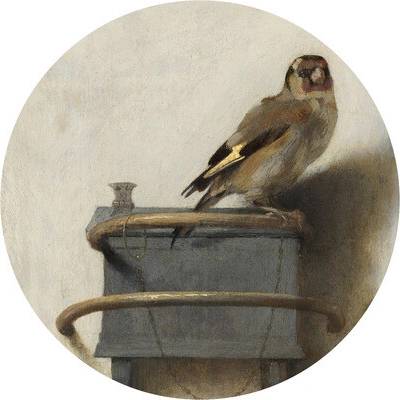 HRBC000031 Fototapeta vliesová Carel Fabritius Stehlík Ø 95 cm