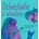 Ochechule s ukulele