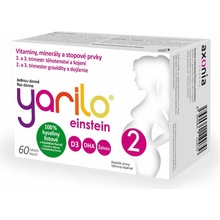 Yarilo Einstein 2 60 tobolek
